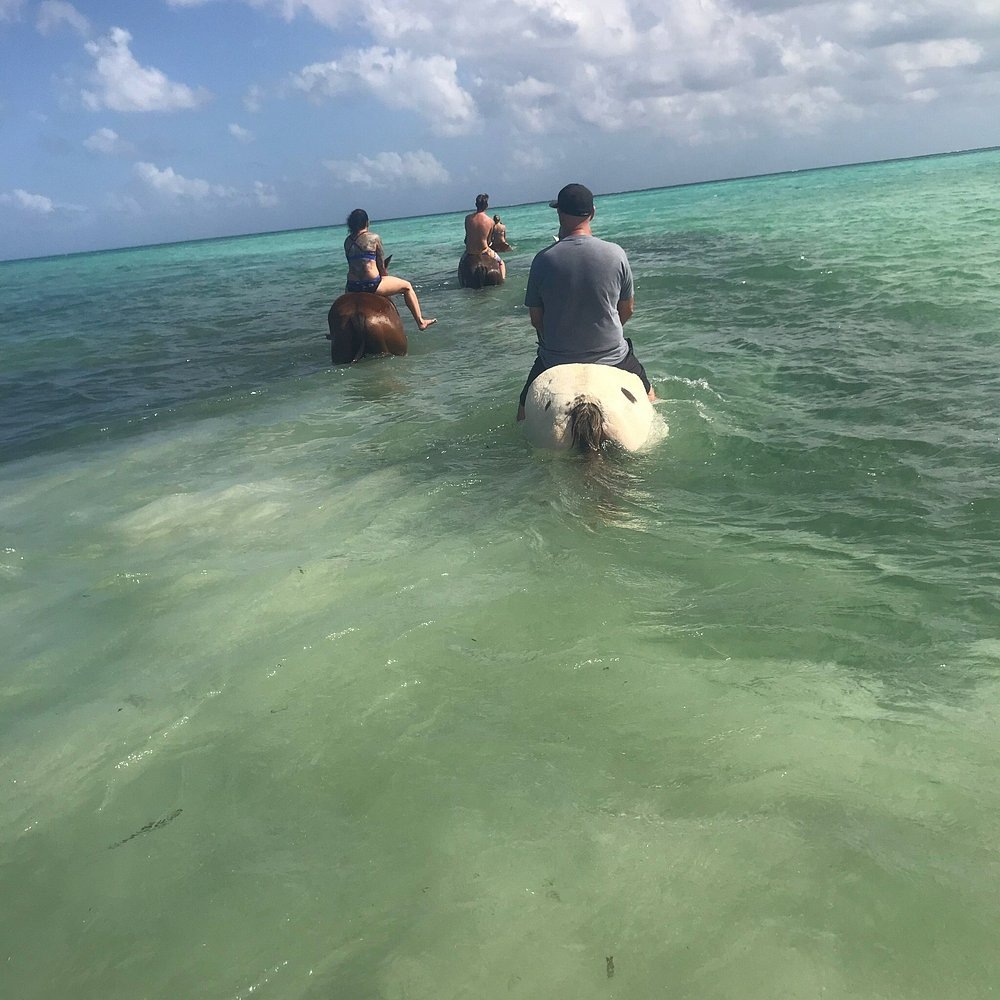 2 HOUR BEACH AND SWIM RIDE